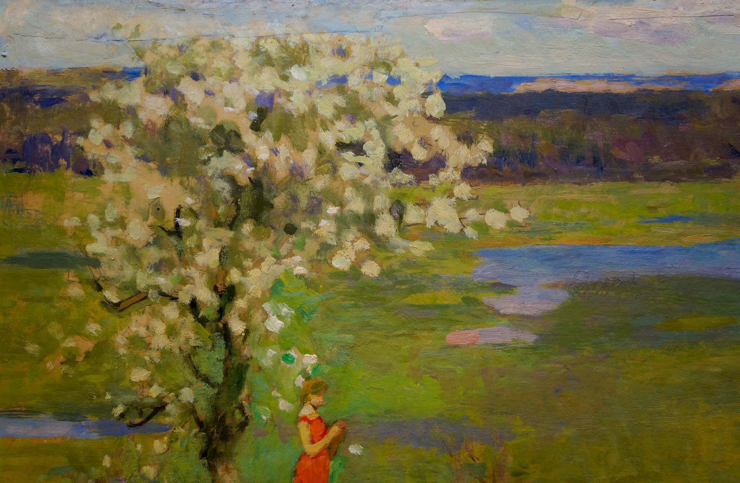Oil painting by Bortnikov Nikolay Fedorovich: blossoming white tree in green field