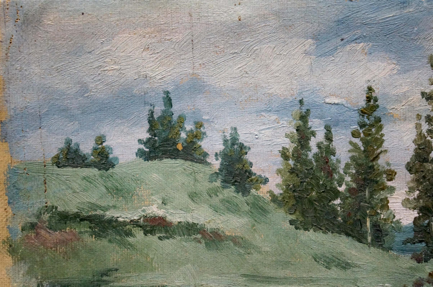Oil painting After the Rain by D. Sitomir: green hillside, evergreens, cloudy sky