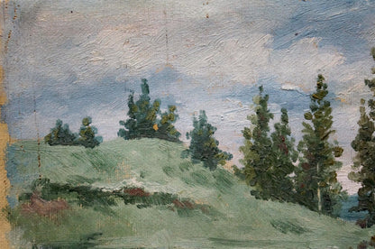Oil painting After the Rain by D. Sitomir: green hillside, evergreens, cloudy sky