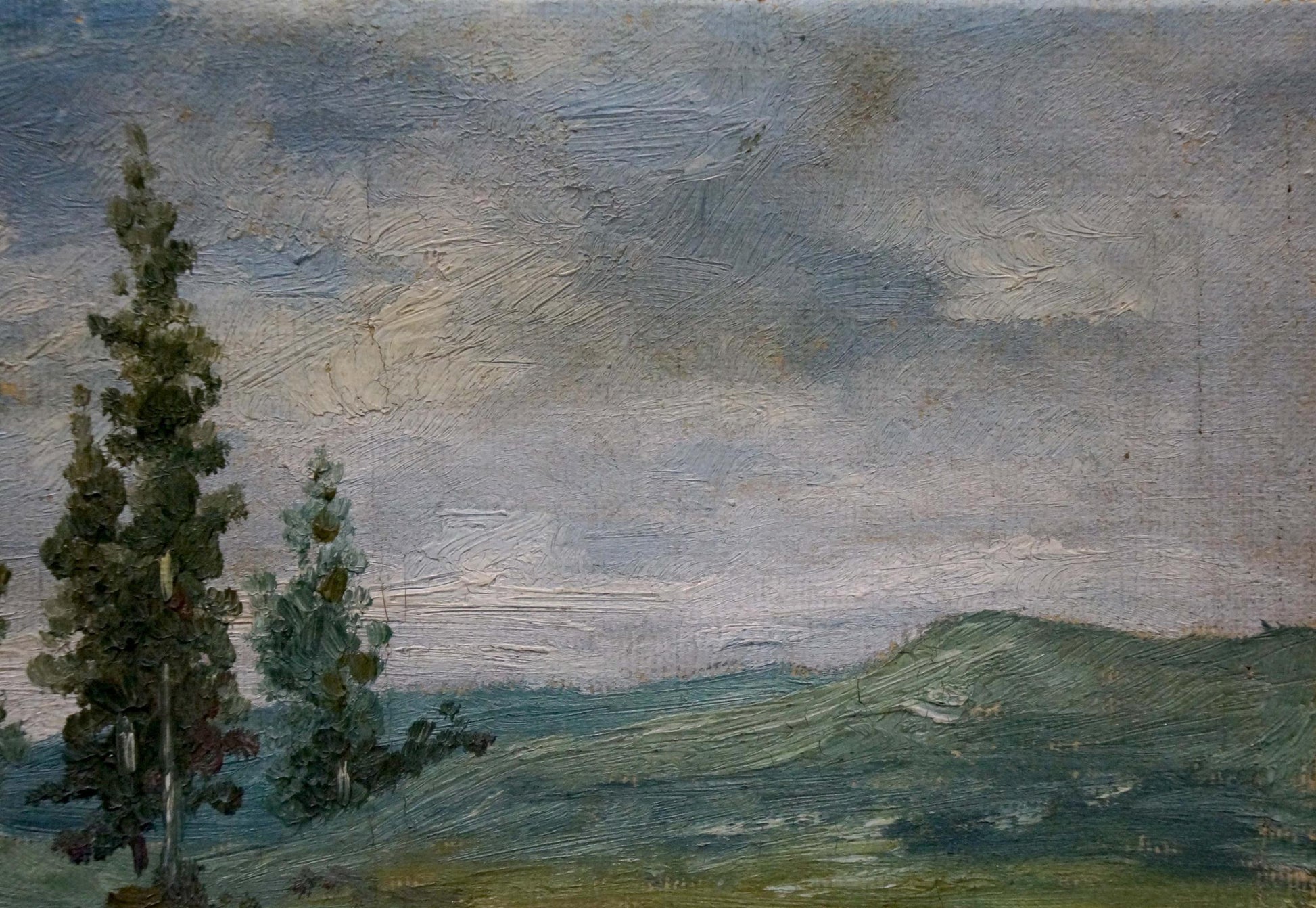 Oil painting After the Rain by D. Sitomir: serene landscape with evergreens and hills