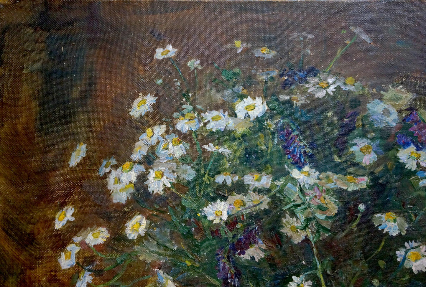 Oil painting of white daisies and wildflowers by Chekin Konstantin Evgenievich