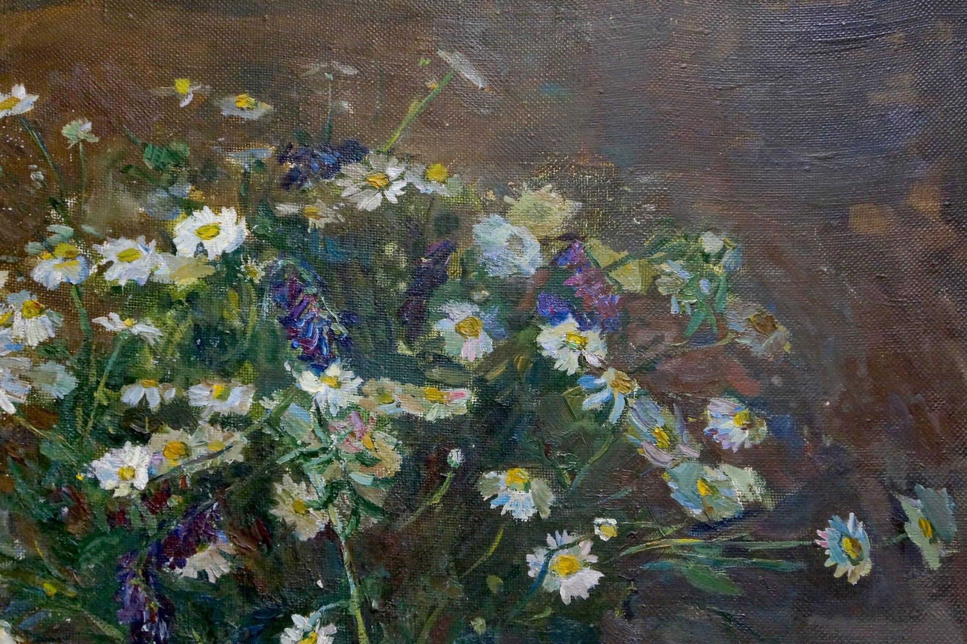 Oil painting by Chekin Konstantin Evgenievich: lush white daisies and wildflowers