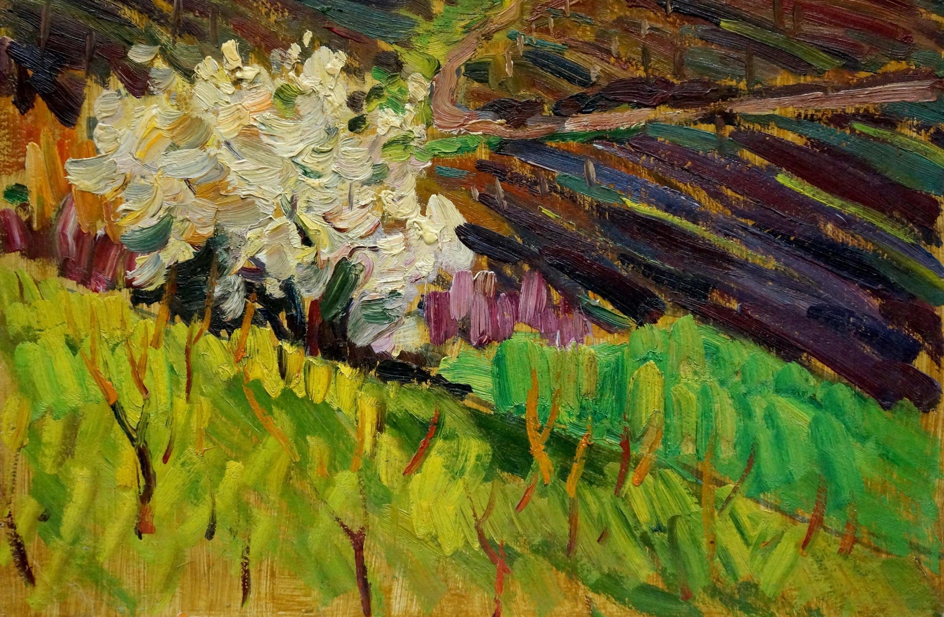 Vibrant impressionist oil painting by Kolomoitsev Petr Mikhailovich: white blossoms in green fields