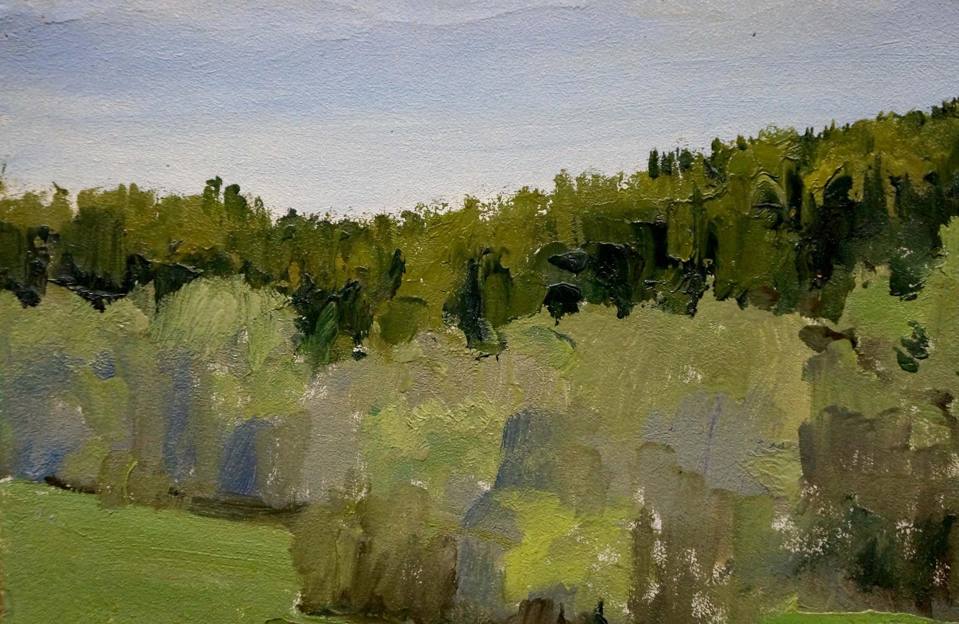 Oil painting Spring sketch by Yakovlev B.N.: lush green forest under blue sky