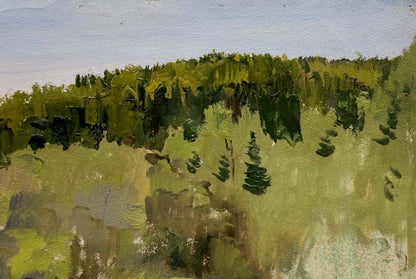 Oil painting Spring sketch Yakovlev B.N. forested hillside lush green trees blue sky