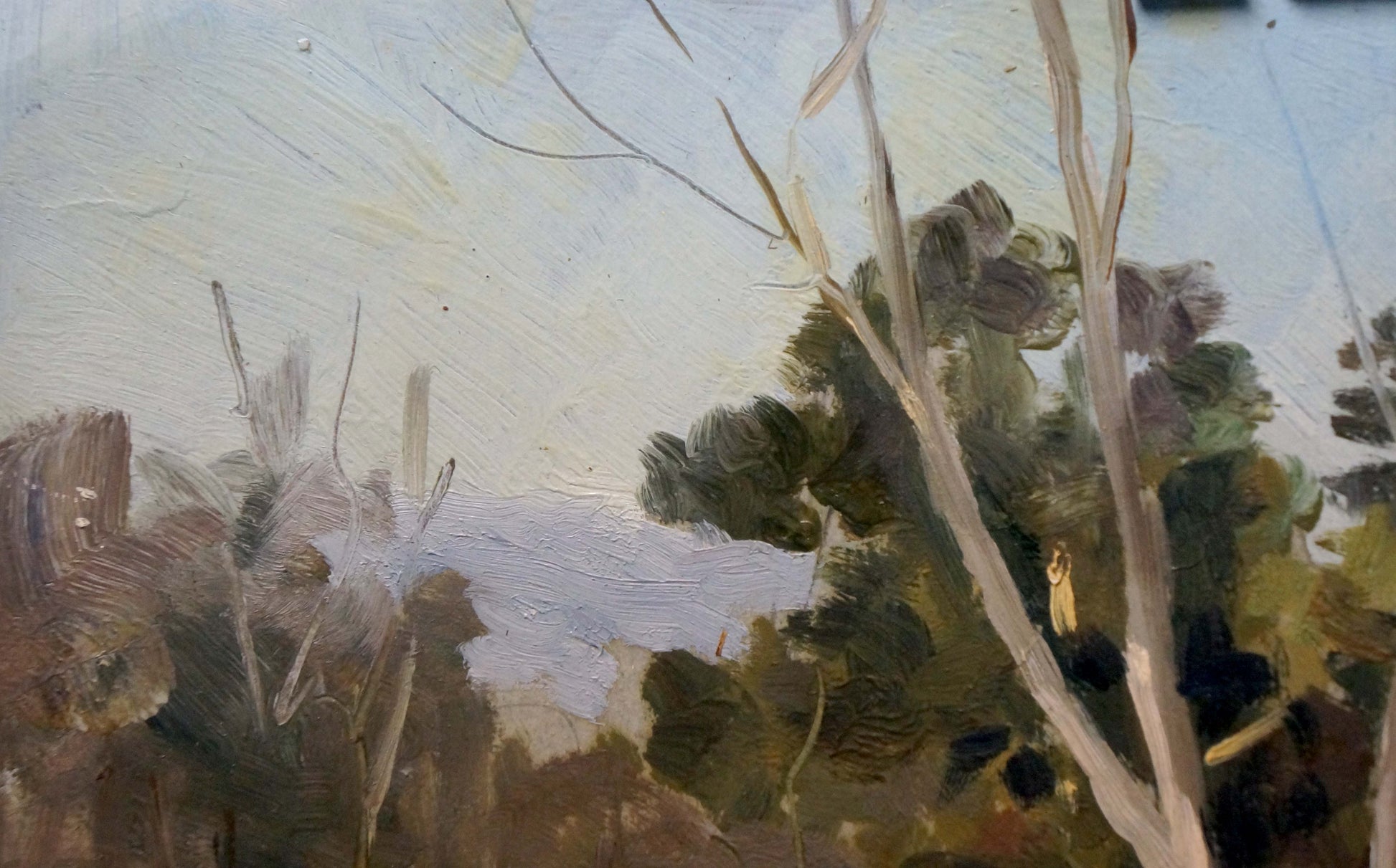 Oil painting of impenetrable winter forest with bare branches and green foliage