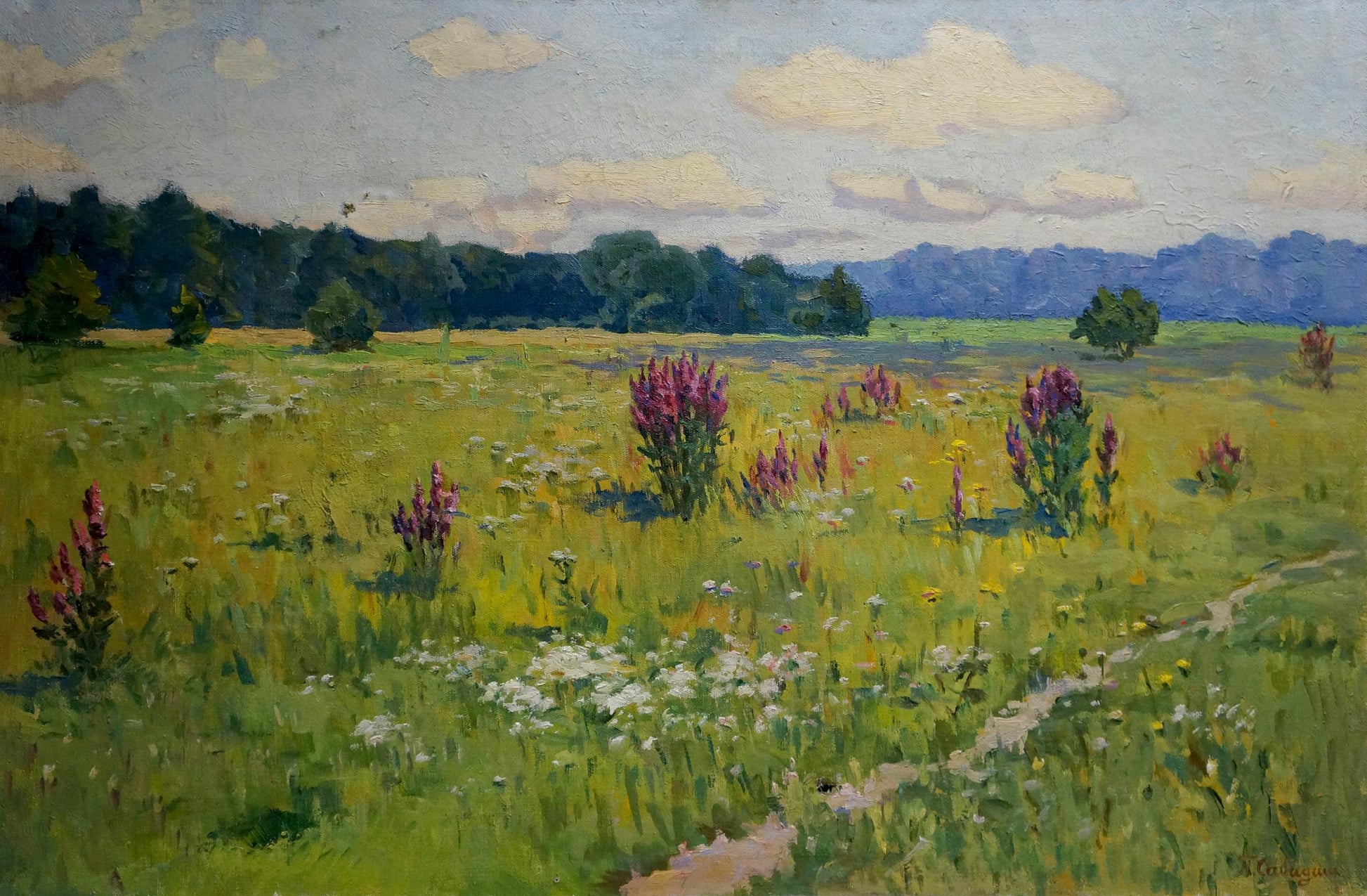 Oil painting by Sabadysh Petr Evlampievich: vibrant purple wildflowers in sunlit meadow