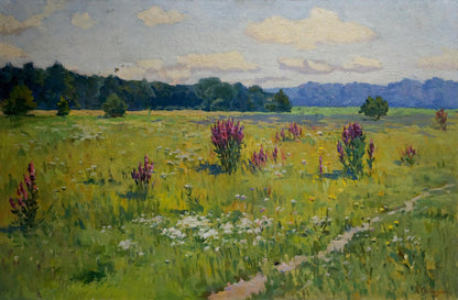 Oil painting by Sabadysh Petr Evlampievich: vibrant purple wildflowers in sunlit meadow