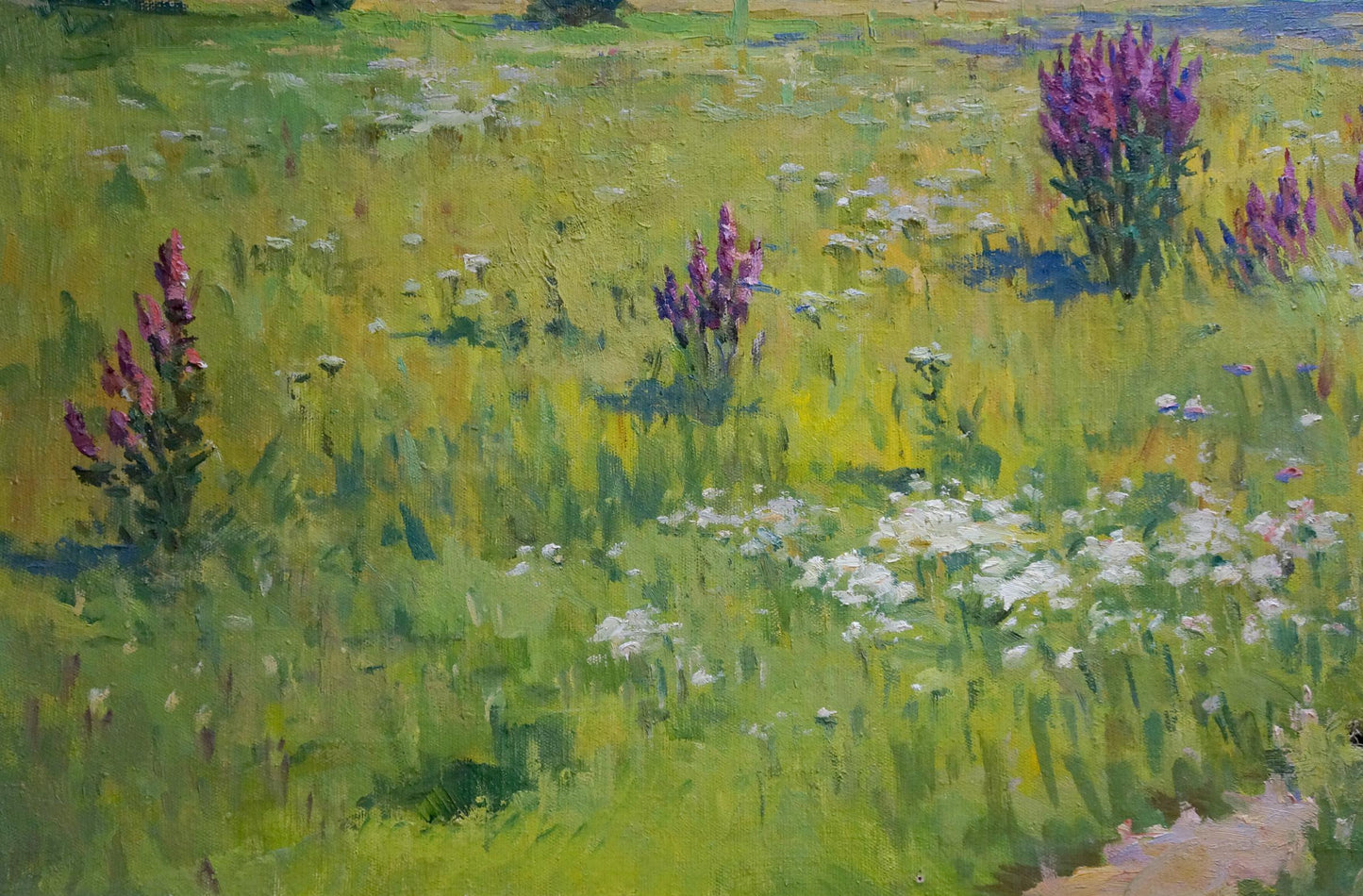Oil painting by Sabadysh Petr Evlampievich: purple and white wildflowers in green field