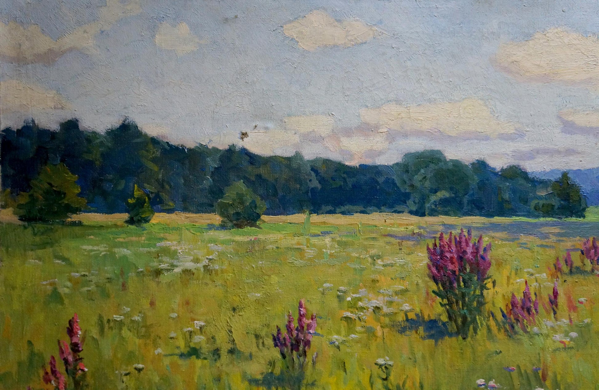 Oil painting by Sabadysh Petr Evlampievich of purple wildflowers in sunlit meadow