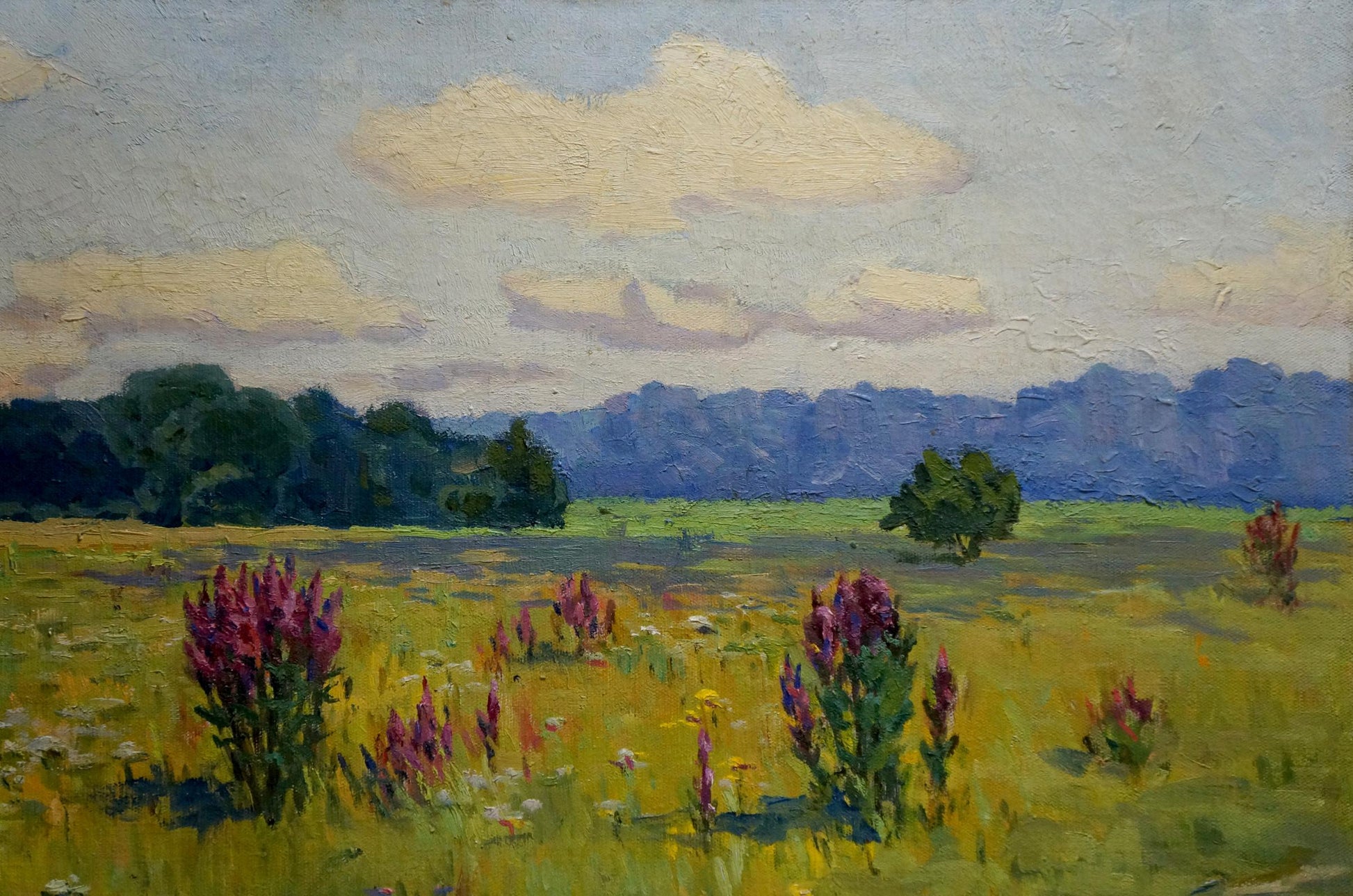 Vibrant oil painting by Sabadysh Petr Evlampievich of sunlit meadow with purple wildflowers