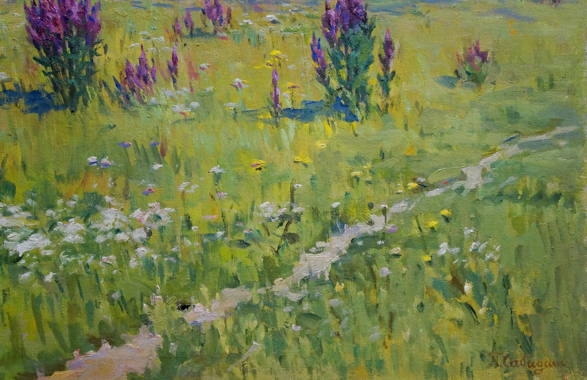Vibrant impressionist oil painting by Sabadysh Petr Evlampievich of sunlit lupine meadow