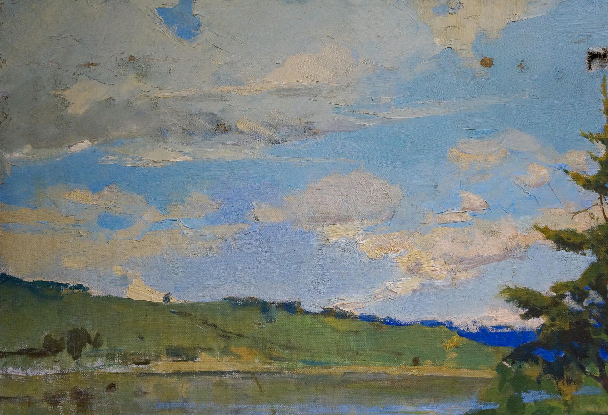 Oil painting of serene summer landscape by Turovetsky Leonid Markovich