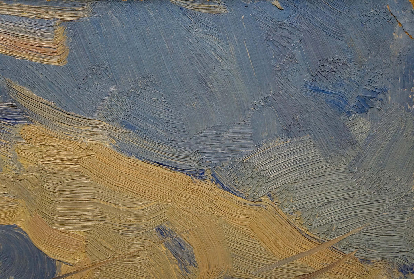 Oil painting New World by Gavrilyuk Nikolay Stepanovich, blue ochre brushstrokes