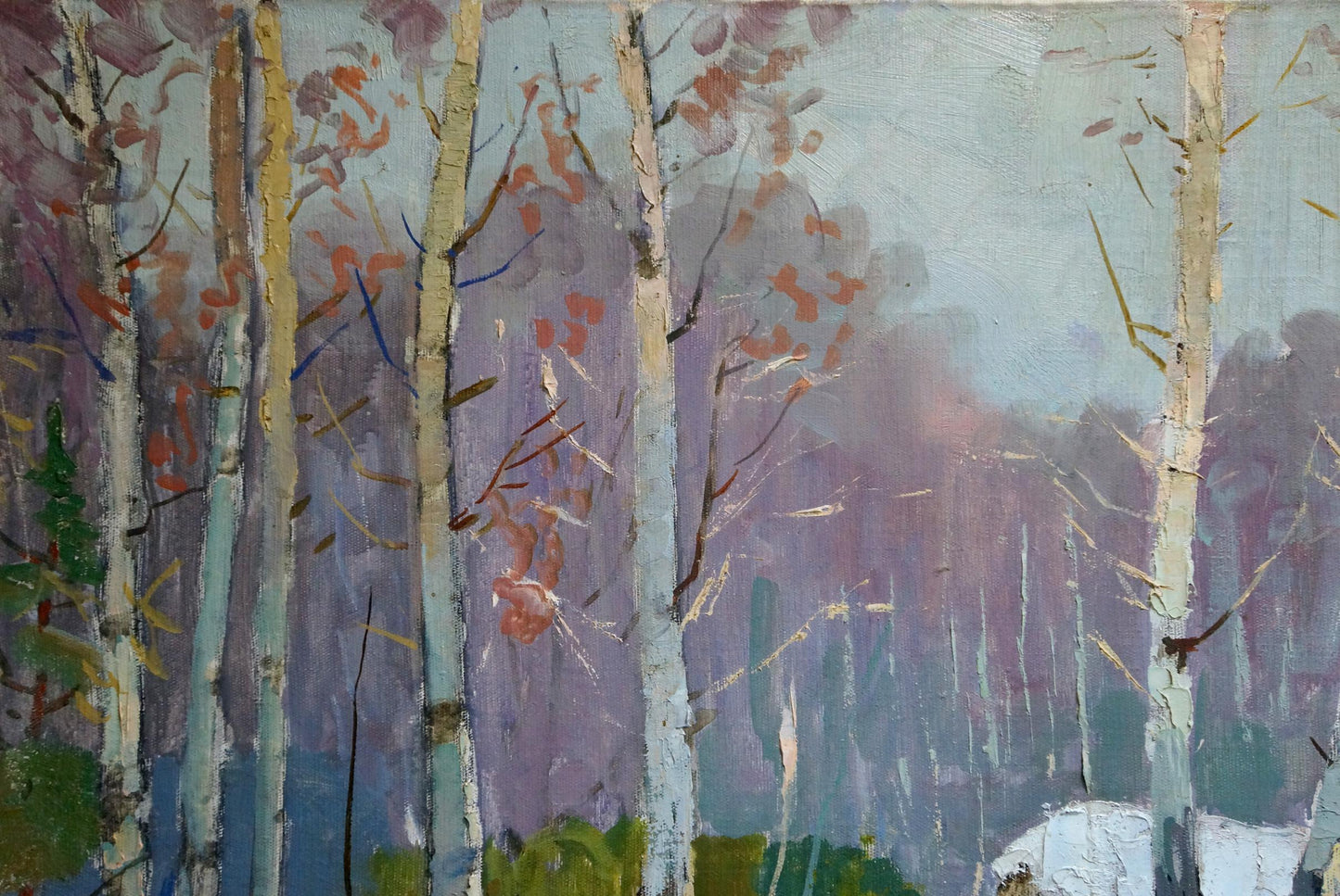 Oil painting Winter landscape by Vladimir Belyak: slender birch trees