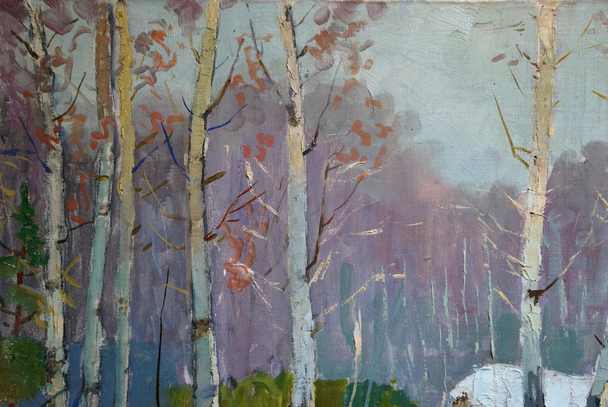 Oil painting Winter landscape by Vladimir Belyak: slender birch trees