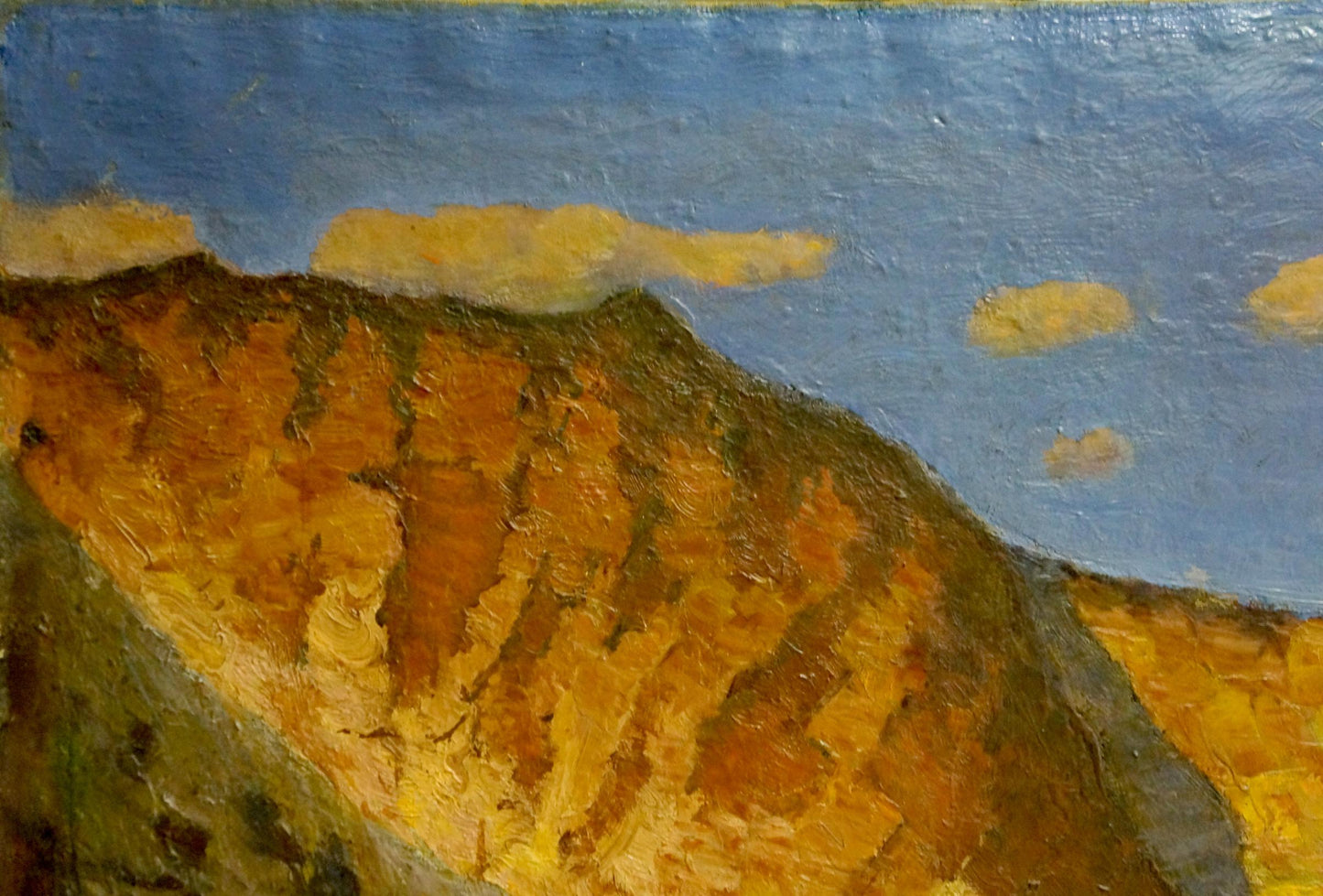 Oil painting Daylight by unknown artist: textured sunlit hillside in impasto