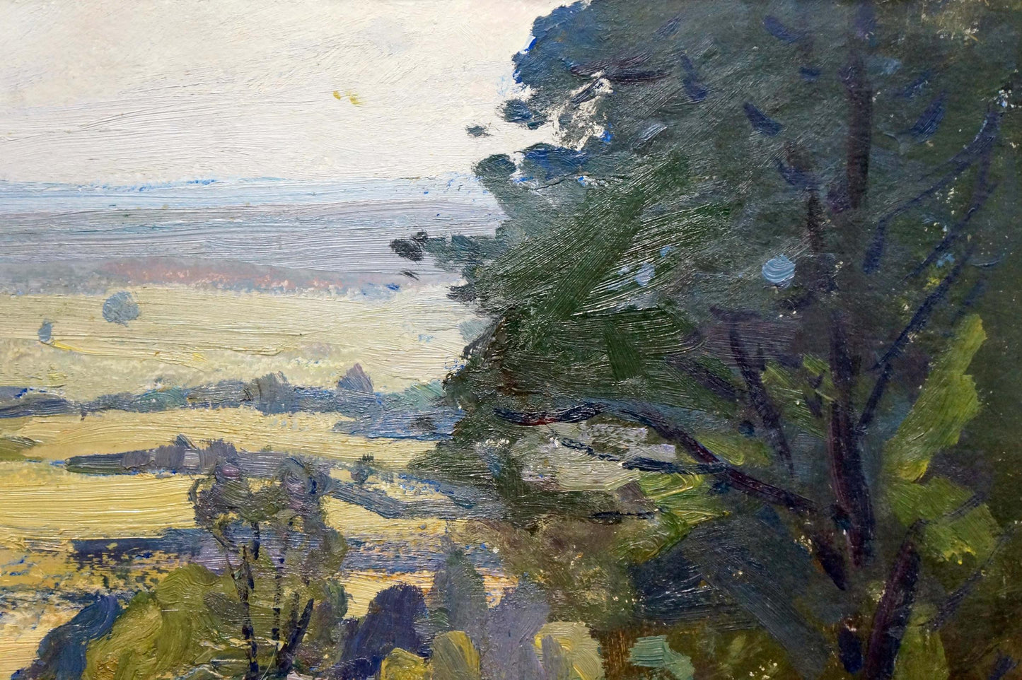 Oil painting by Gantman Moses Faybovich: lush green tree in summer sunny fields