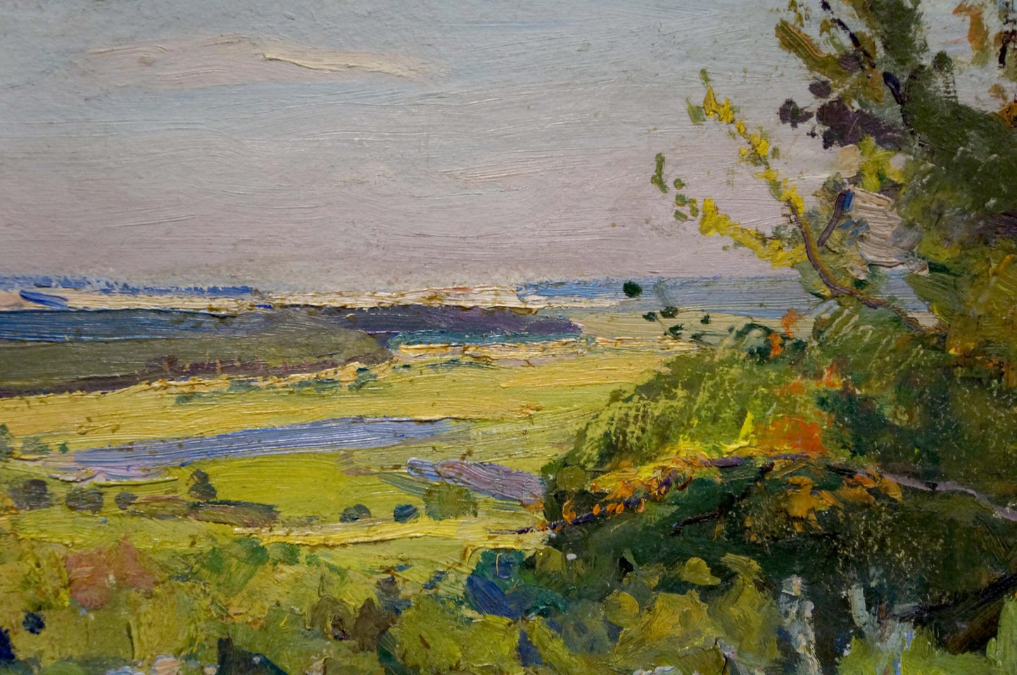 Vibrant impressionist oil painting by Gantman Moses Faybovich with green fields and river