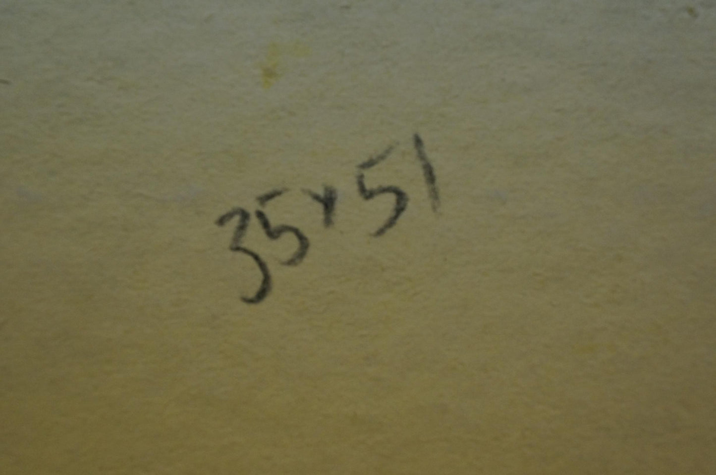Back of Oil painting Place to rest Gantman Moses Faybovich with 35x51 handwritten in black ink