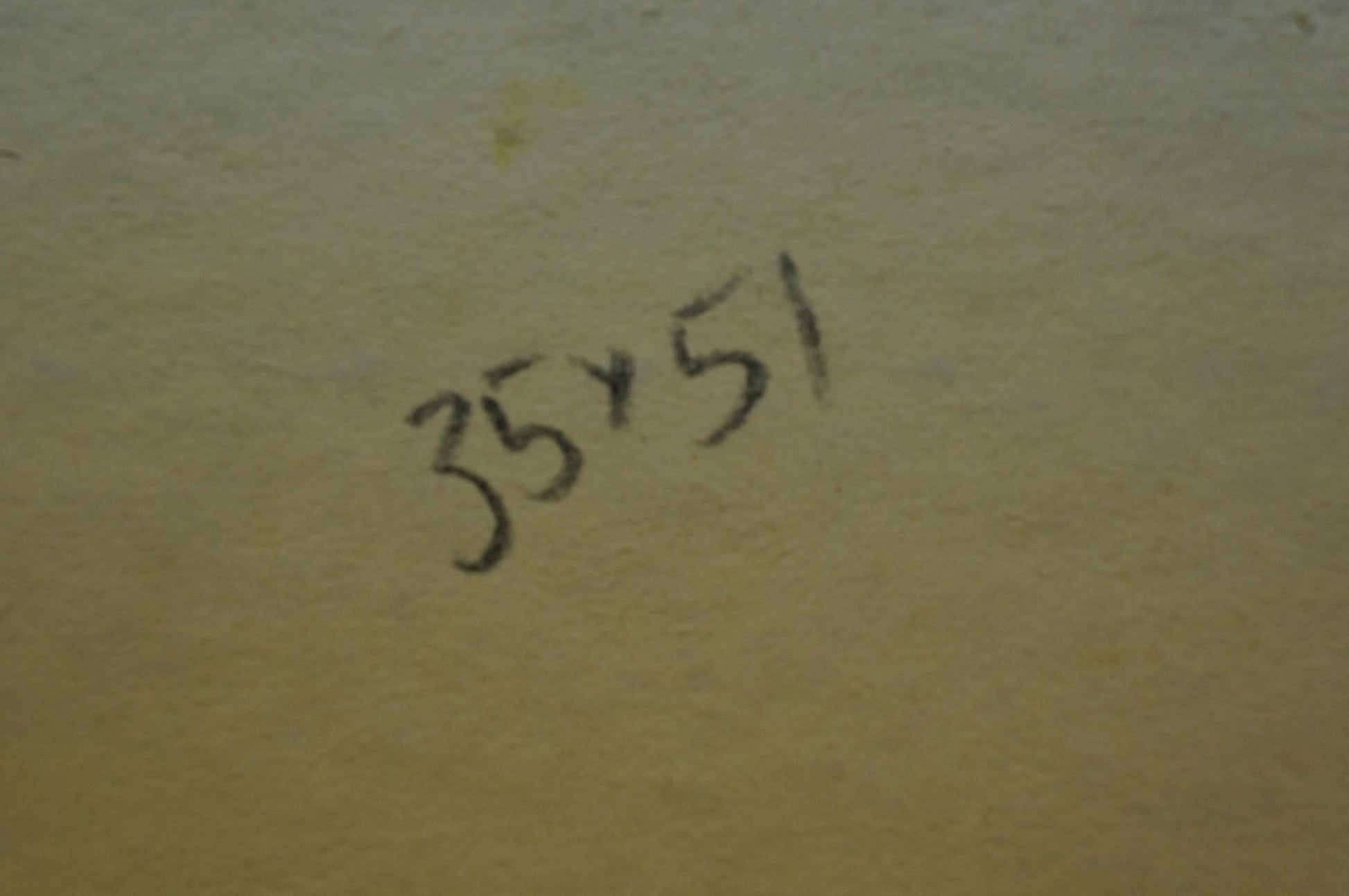 Back of Oil painting Place to rest Gantman Moses Faybovich with 35x51 handwritten in black ink