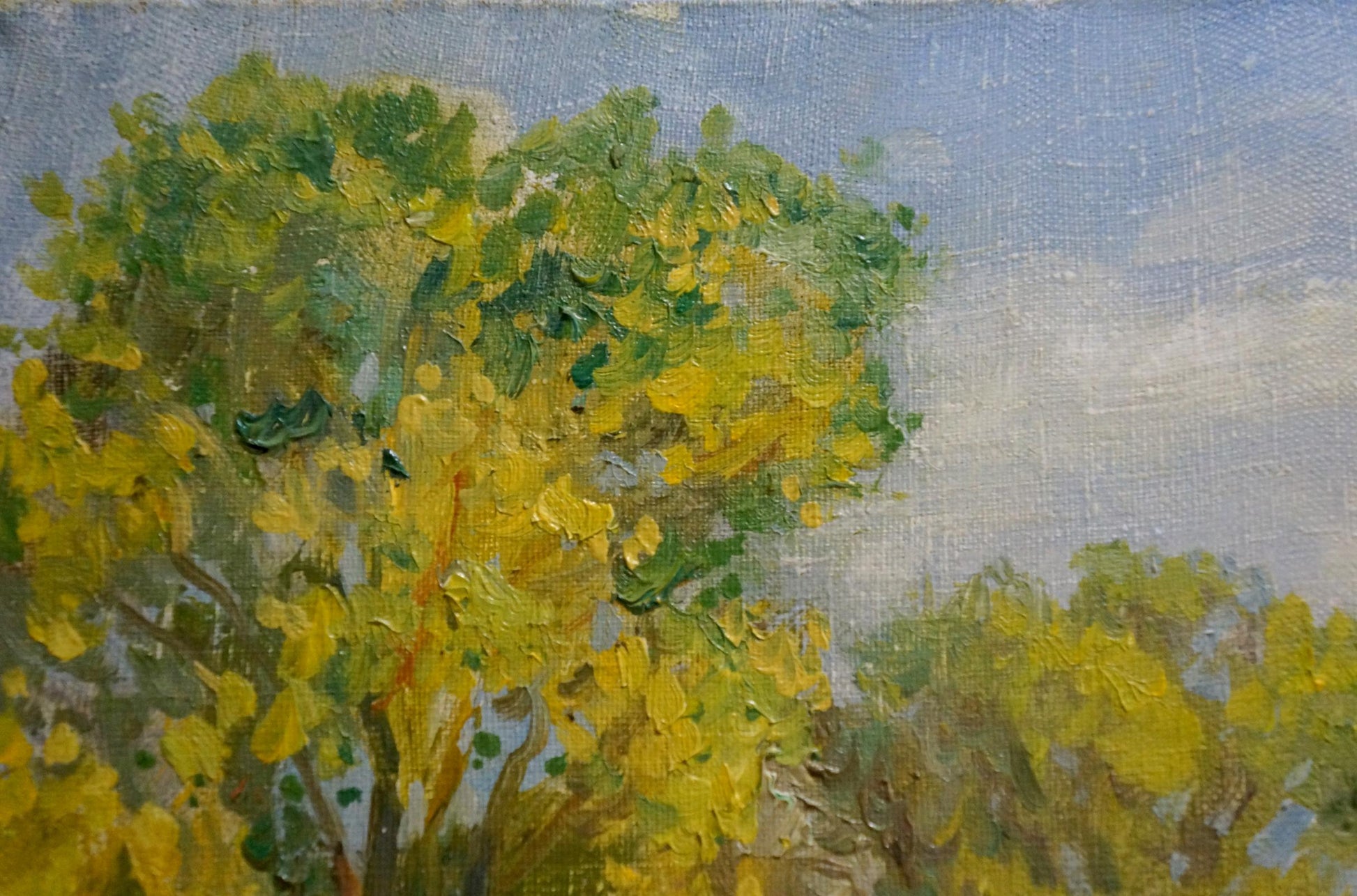 Vibrant impressionist oil painting of lush tree by Alexander Mynka