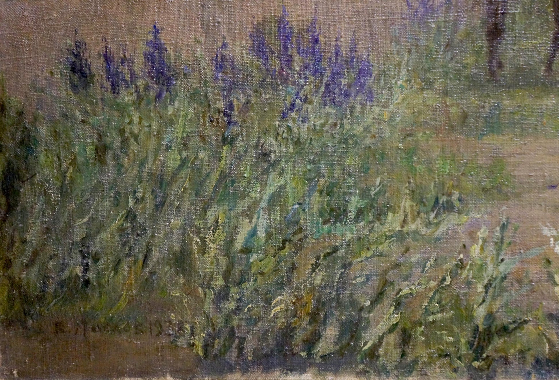 Oil painting Foothills by Maslov Viktor Ivanovich: purple lupine flowers in green foliage