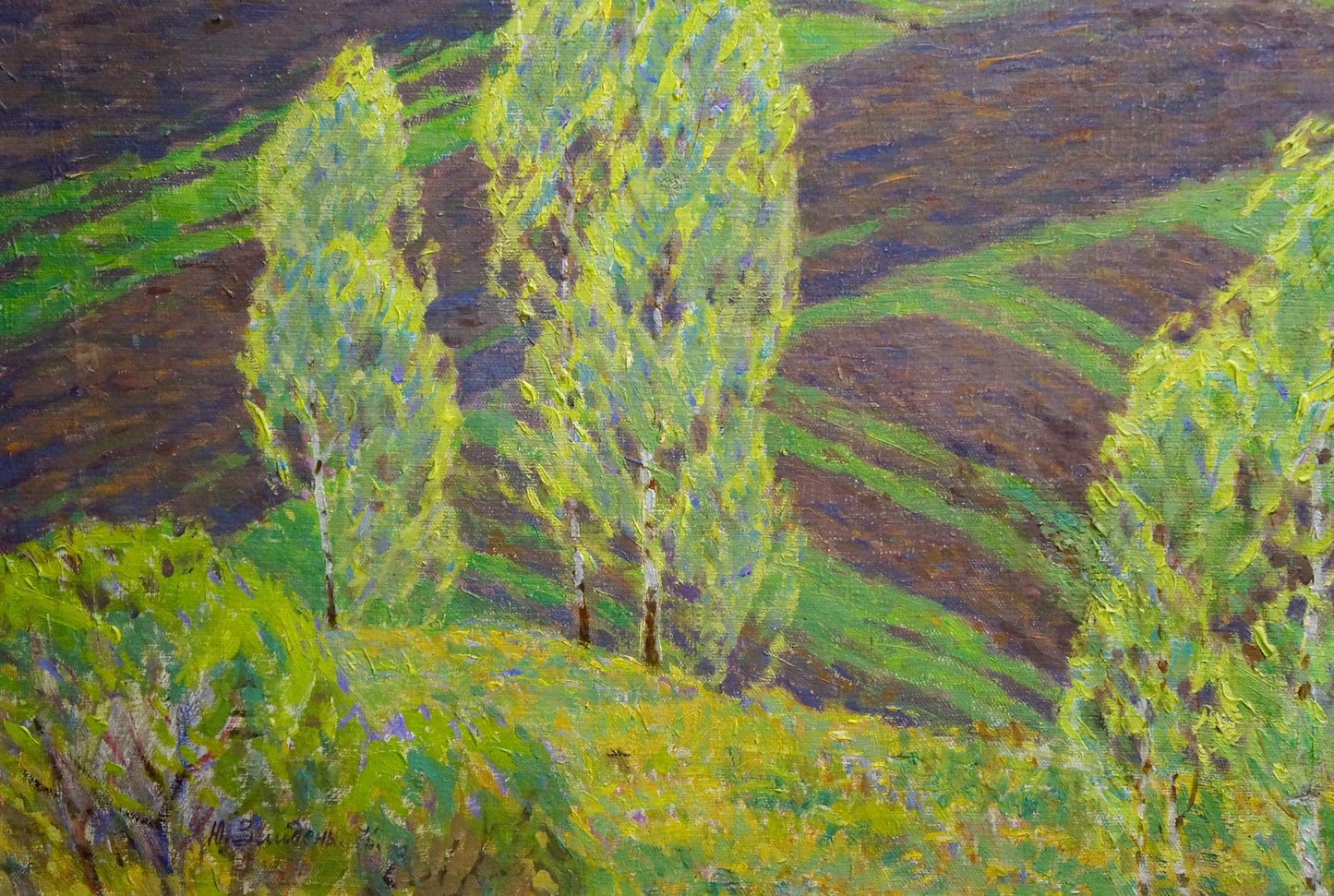 Oil painting Spring by Zlyden Yuri Fedorovich: impressionist trees on hills