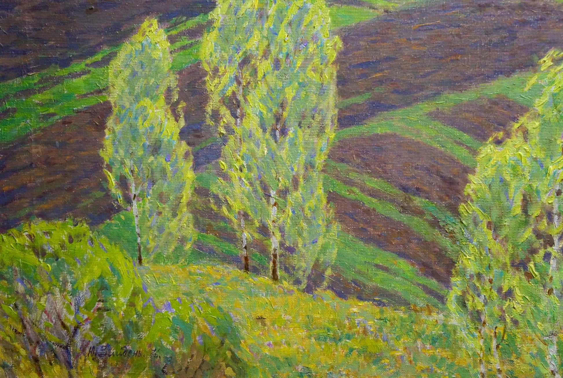Oil painting Spring by Zlyden Yuri Fedorovich: impressionist trees on hills