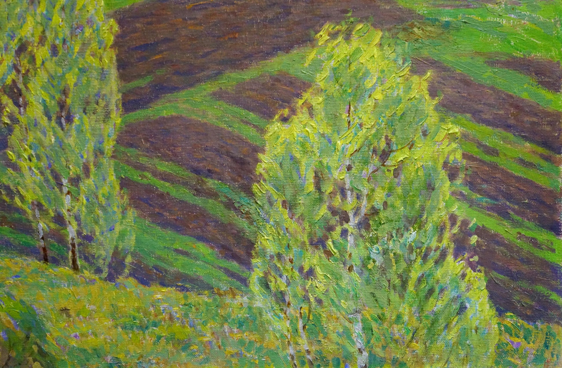 Vibrant impressionist oil painting Spring Zlyden by Yuri Fedorovich