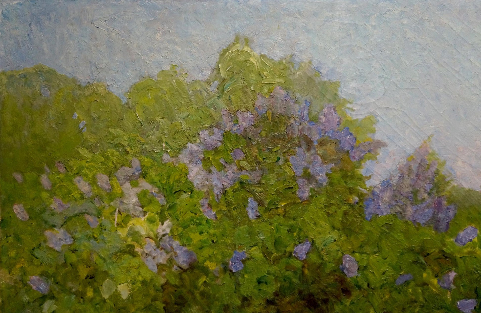 Oil painting of lush lilac bush by Zharenko Lavrentiy Semenovich