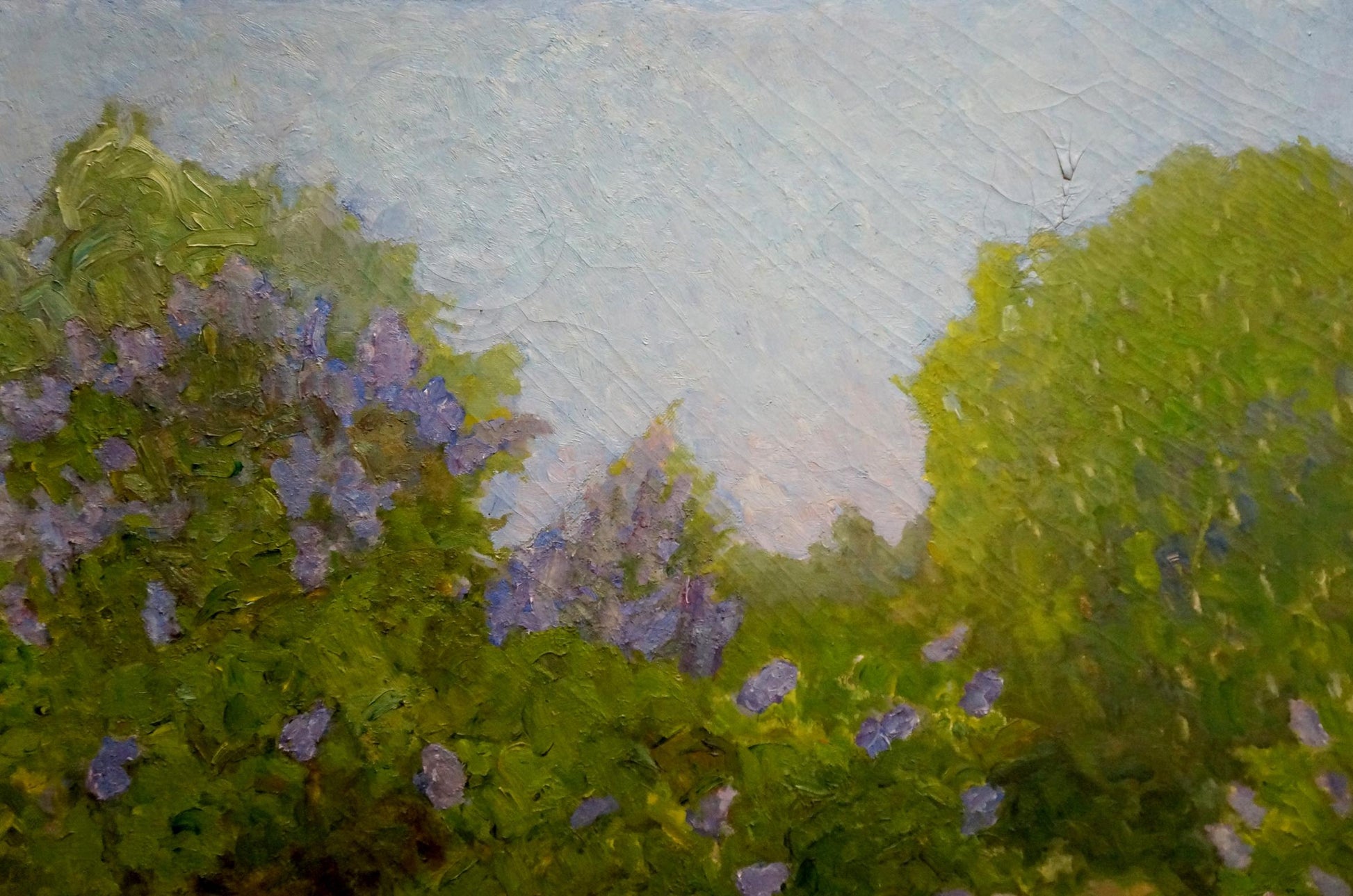 Oil painting of summer landscape with purple flowers by Zharenko Lavrentiy Semenovich