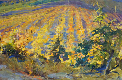 Vibrant impressionistic oil painting of sunlit Sevets Victor Stepanovich vineyard