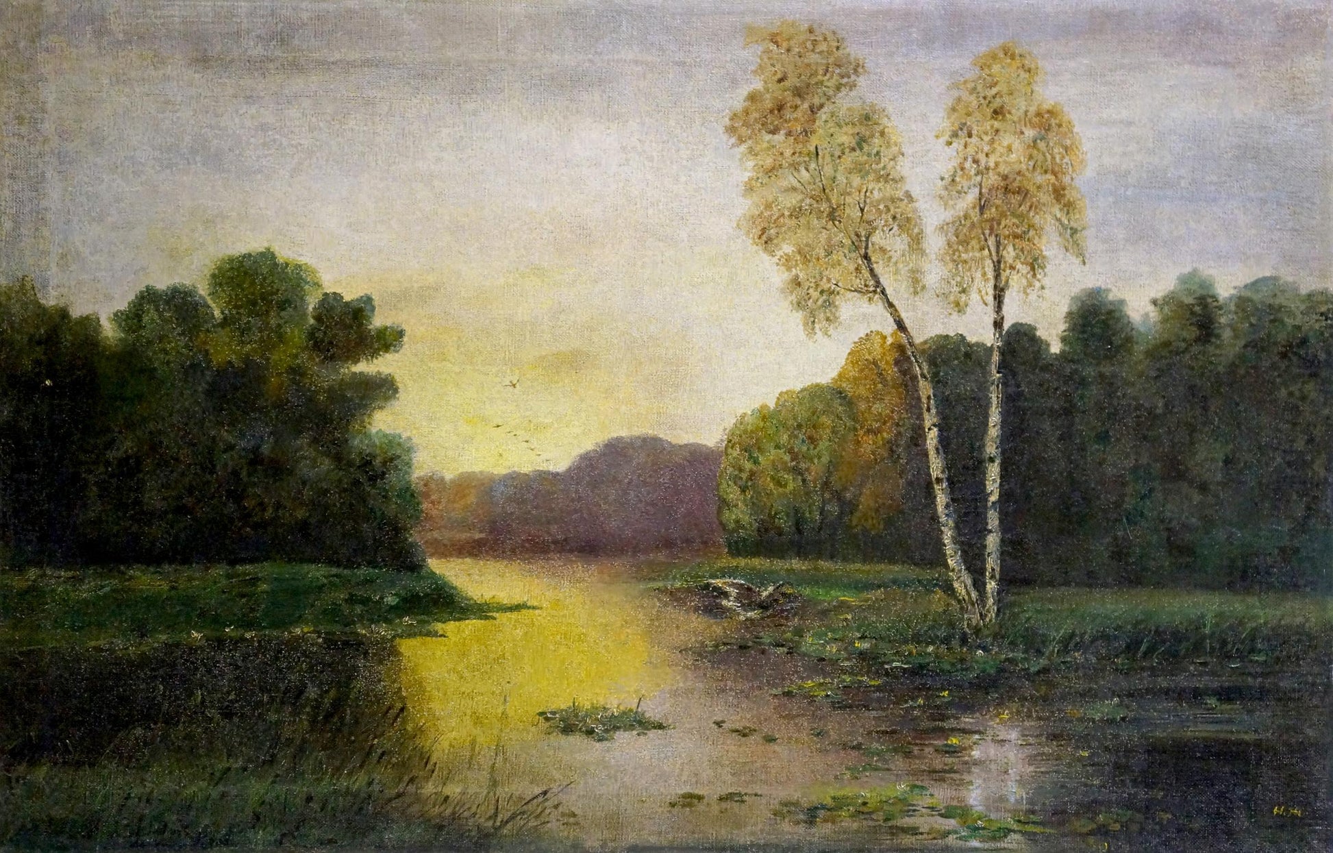 Oil painting Daylight on the river: serene landscape with birch trees