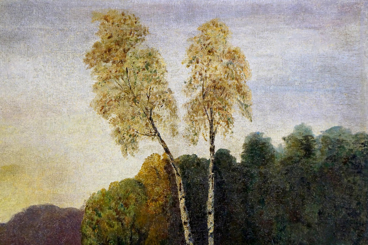 Oil painting Daylight on the river: two slender birch trees with golden foliage