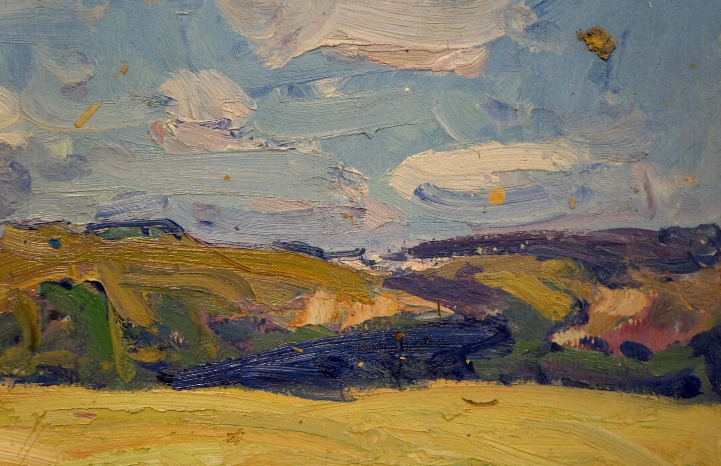 Oil painting Fields by Kolosovsky Georgy Sergeevich impasto landscape