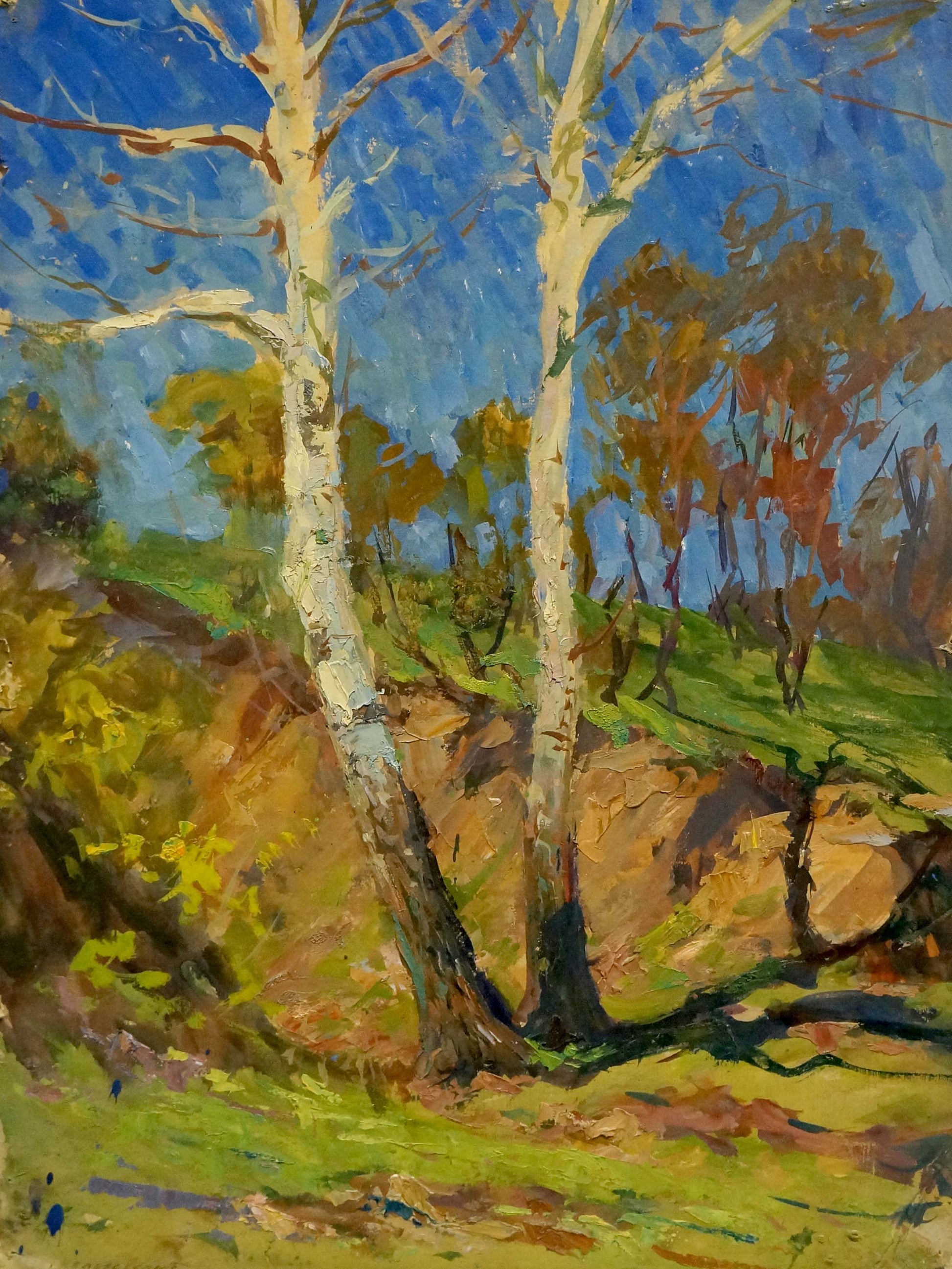 Vibrant impressionist oil painting by Kolosovsky Georgy Sergeevich: birch trees in autumn woods