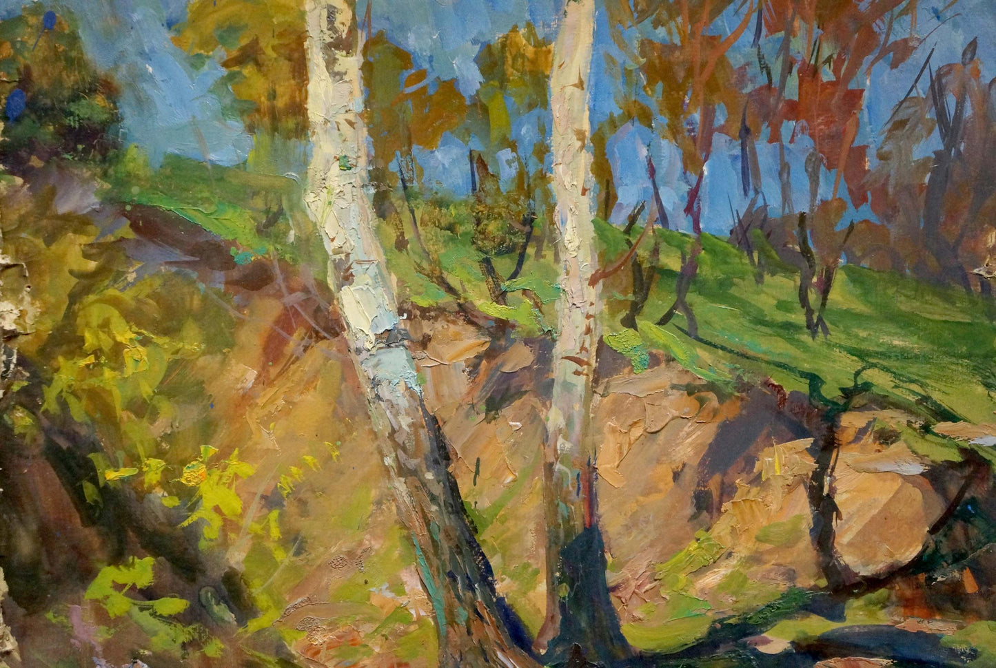 Vibrant impressionist oil painting by Kolosovsky Georgy Sergeevich of birch trees on sunlit hillside
