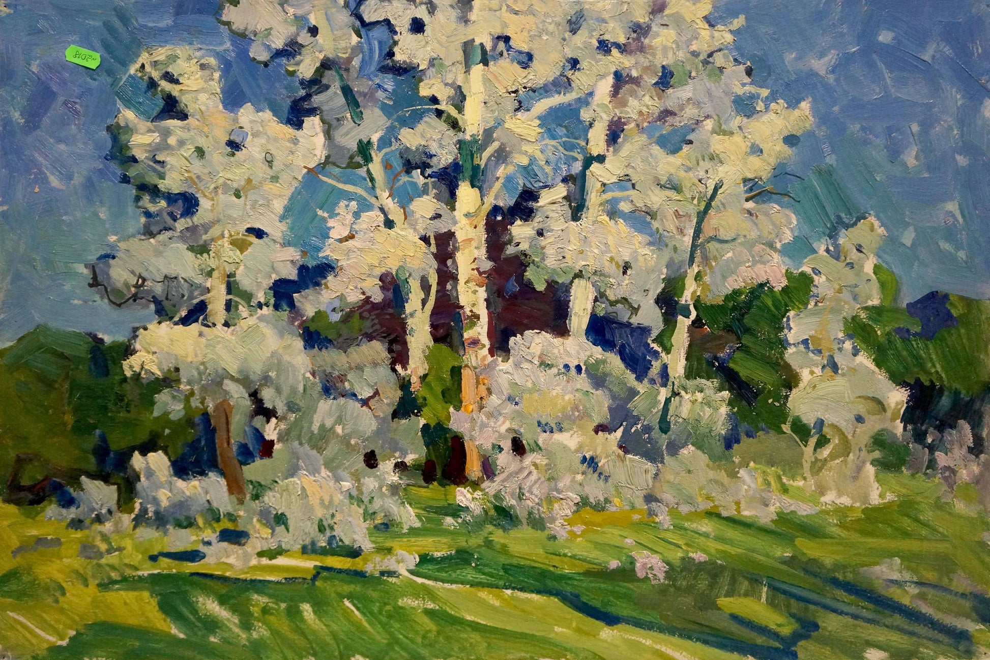 Vibrant impressionist oil painting of blossoming birch trees by Kolosovsky Georgy Sergeevich