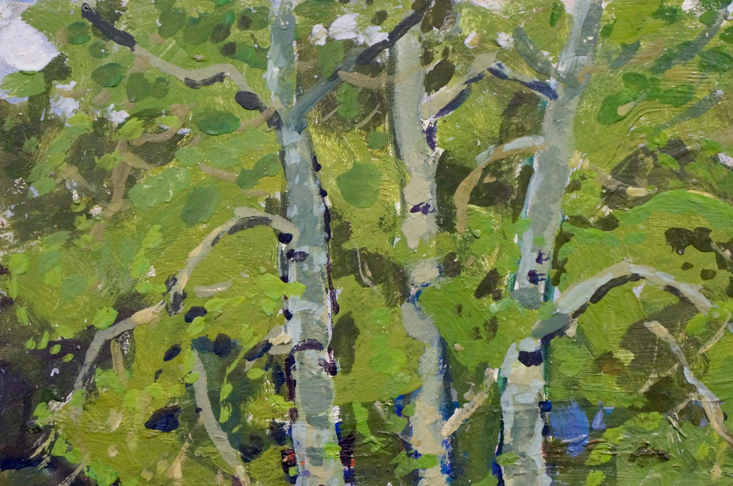 Vibrant impressionistic oil painting of birch grove by Kolosovsky Georgy Sergeevich
