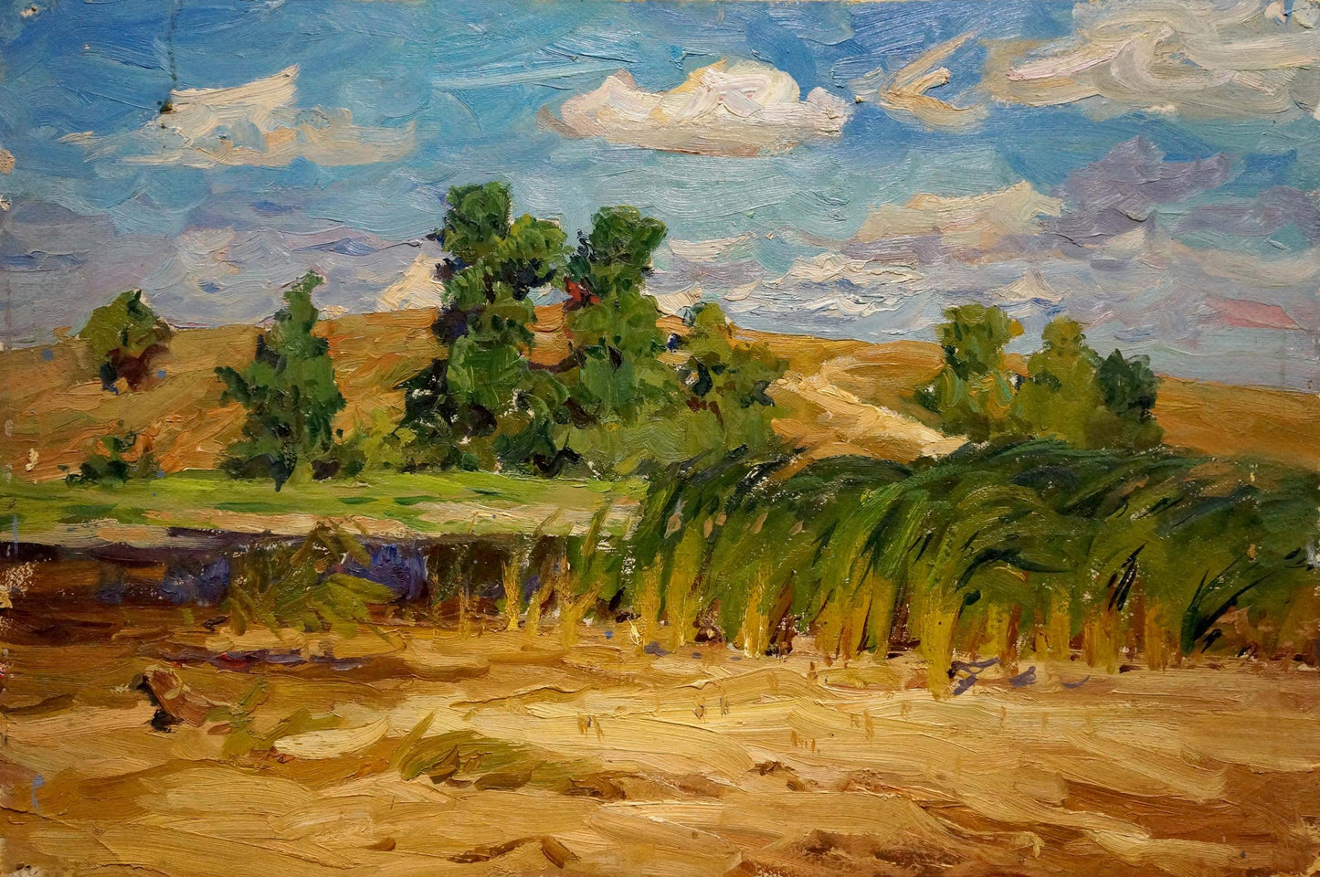 Oil painting by Kolosovsky Georgy Sergeevich: sunlit landscape with river