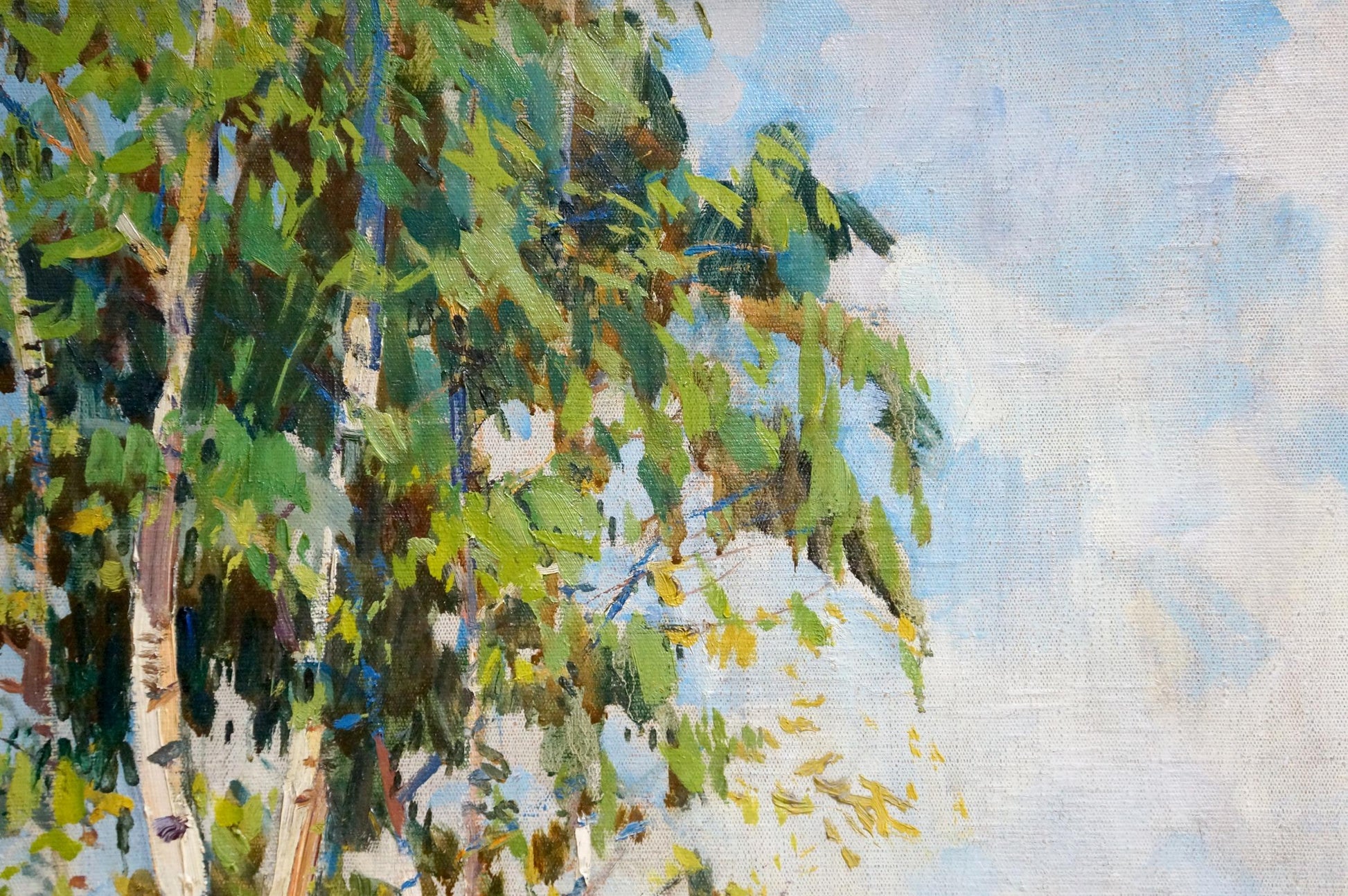 Vibrant impressionist oil painting of birches by the river by Bezugly Daniil Ivanovich