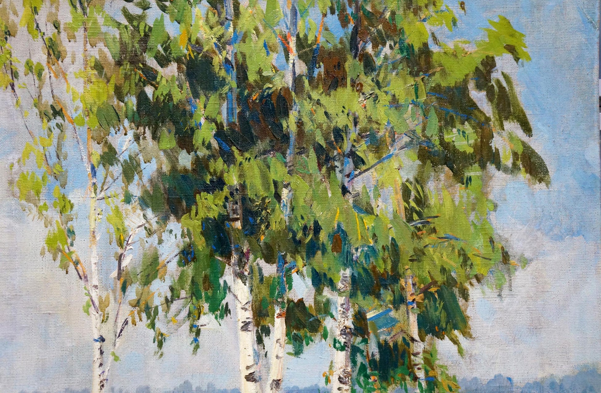 Vibrant impressionist oil painting of birches by the river by Bezugly Daniil Ivanovich