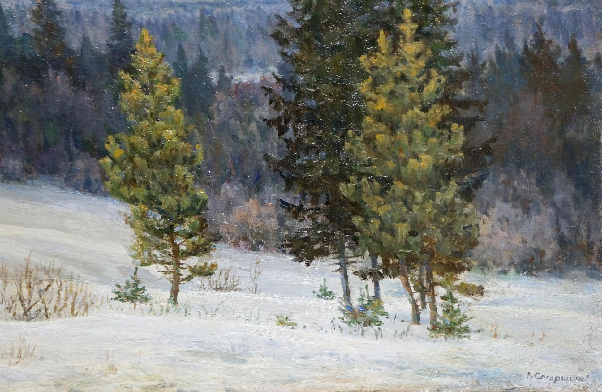 Oil painting by Starshinov V. V. of snow-covered forest landscape