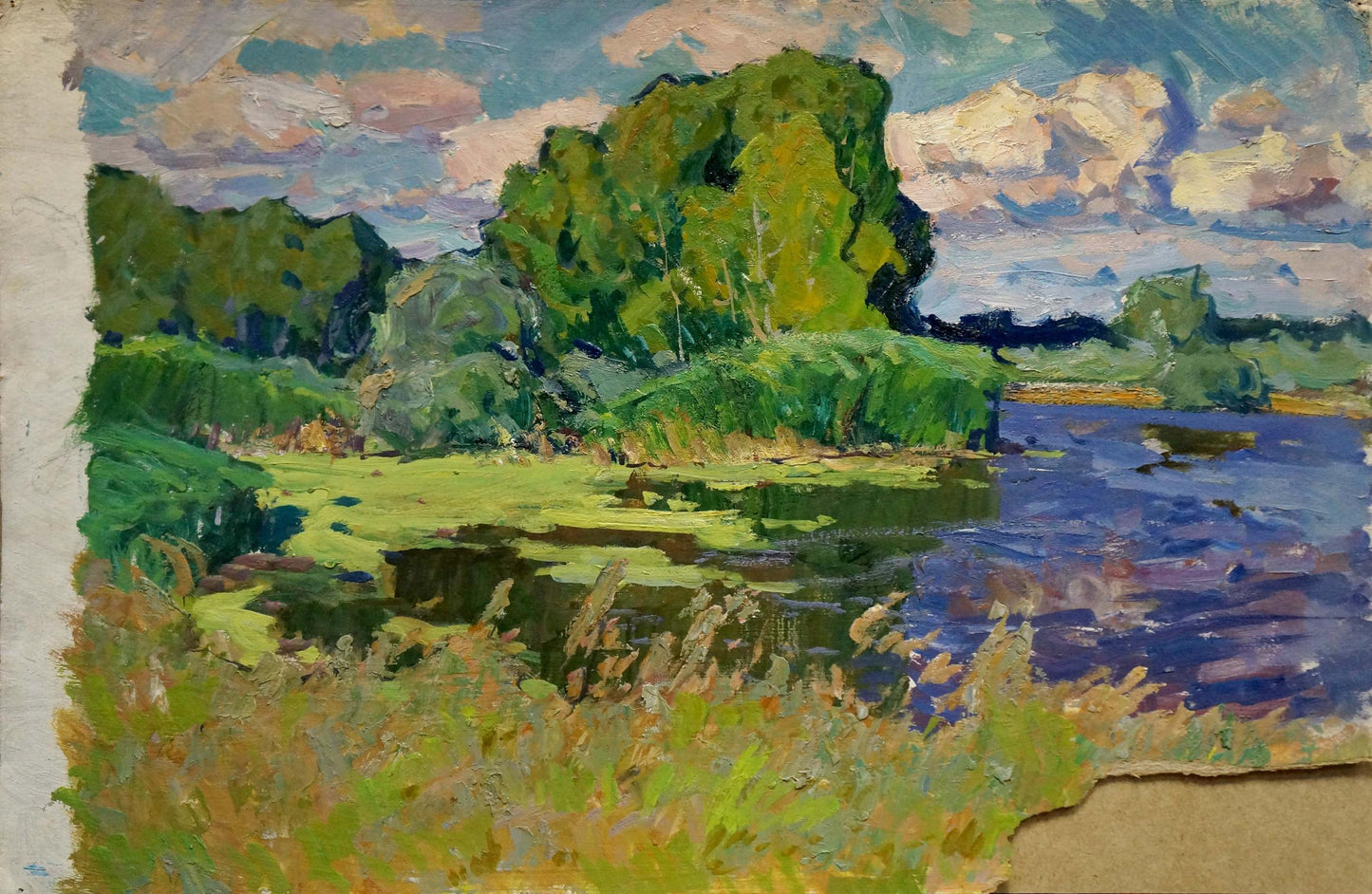 Vibrant impressionist oil painting Swampy area by Anatoly Fomin