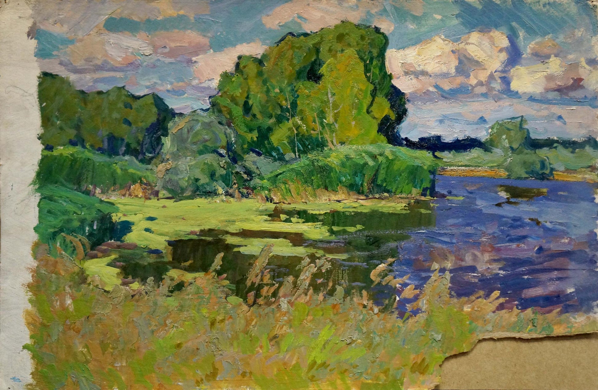 Vibrant impressionist oil painting Swampy area by Anatoly Fomin
