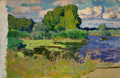 Vibrant impressionist oil painting Swampy area by Anatoly Fomin