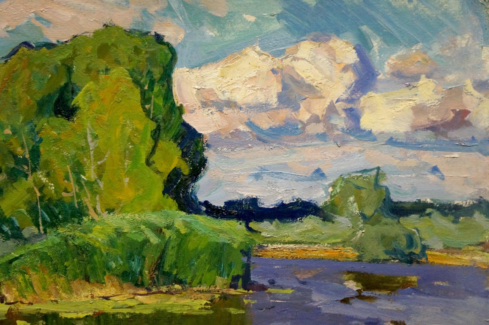 Vibrant impressionist oil painting of swampy area by Anatoly Fomin