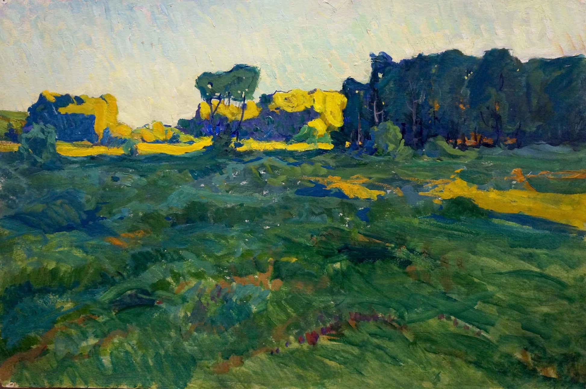 Vibrant impressionist oil painting Daylight by Fomin Anatoly Nikiforovich