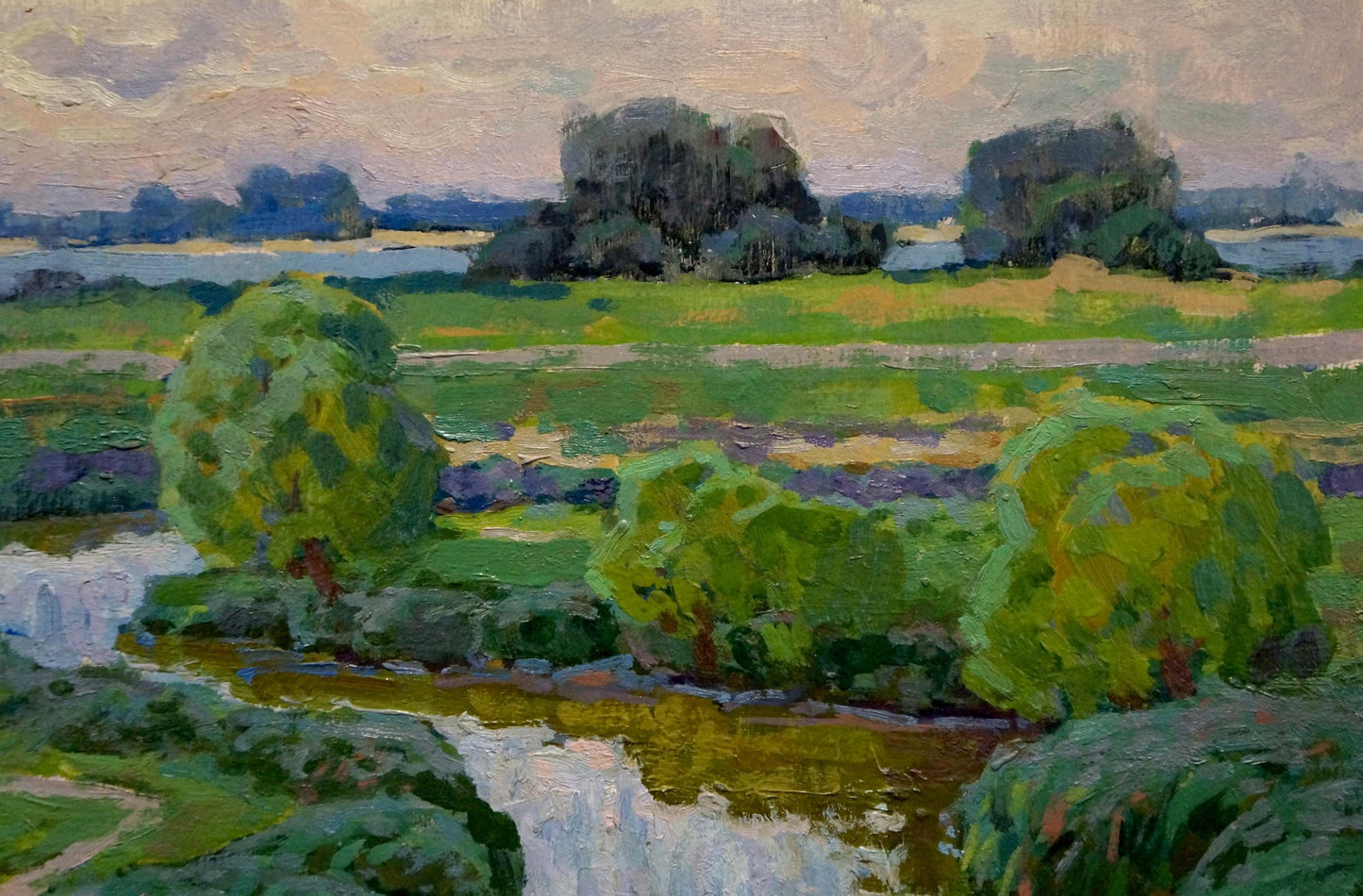 Vibrant impressionist oil painting of Dnieper floodplain by Ruban Grigory Savelievich